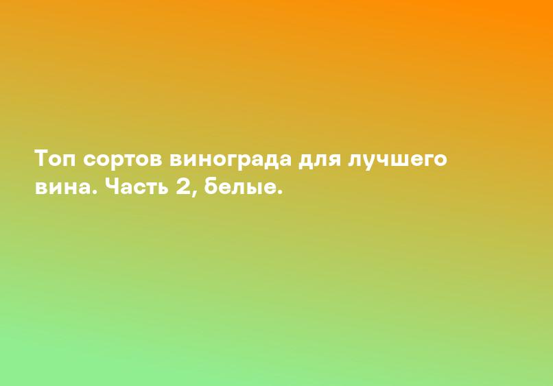 Топ сортов винограда для лучшего вина. Часть 2, белые.