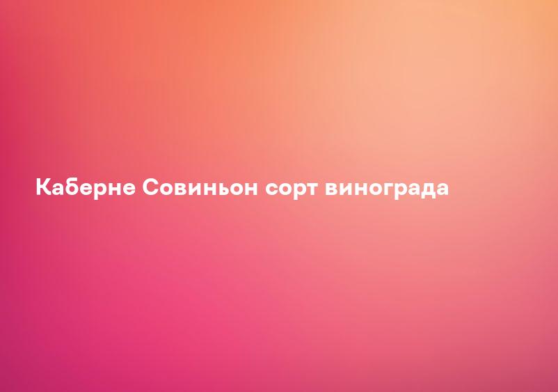 Каберне Совиньон сорт винограда