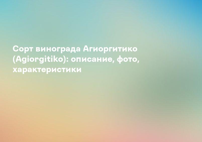 Сорт винограда Агиоргитико (Agiorgitiko): описание, фото, характеристики